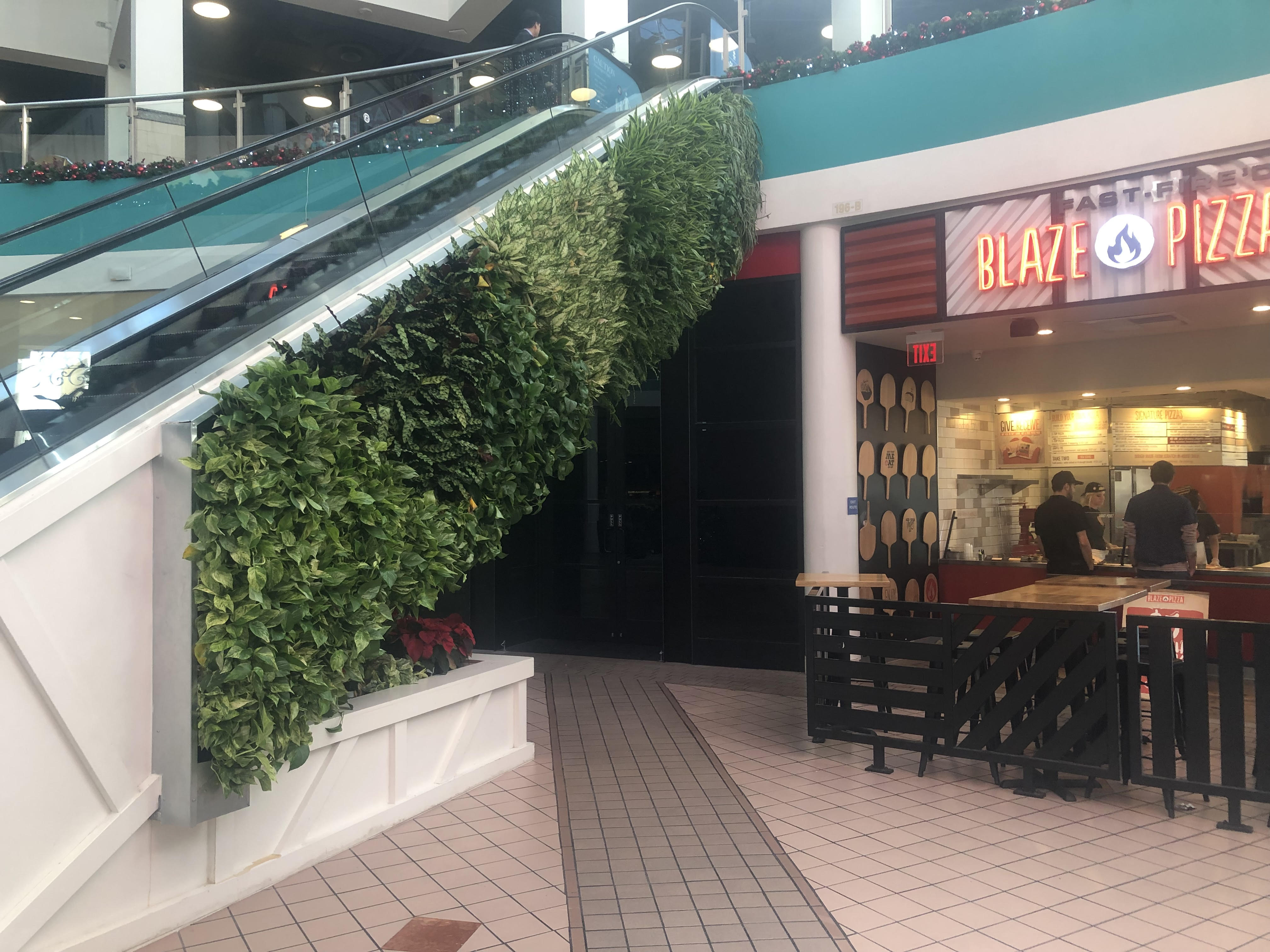 Case Study | The Escalator Project
