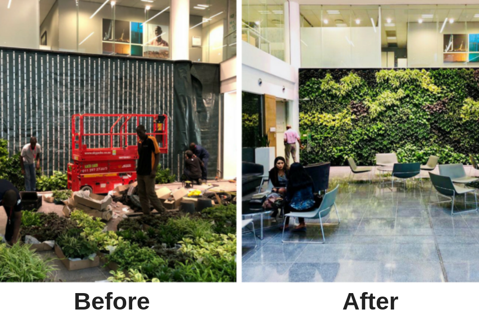 Expand Your Horizons with this Huge Greenwall