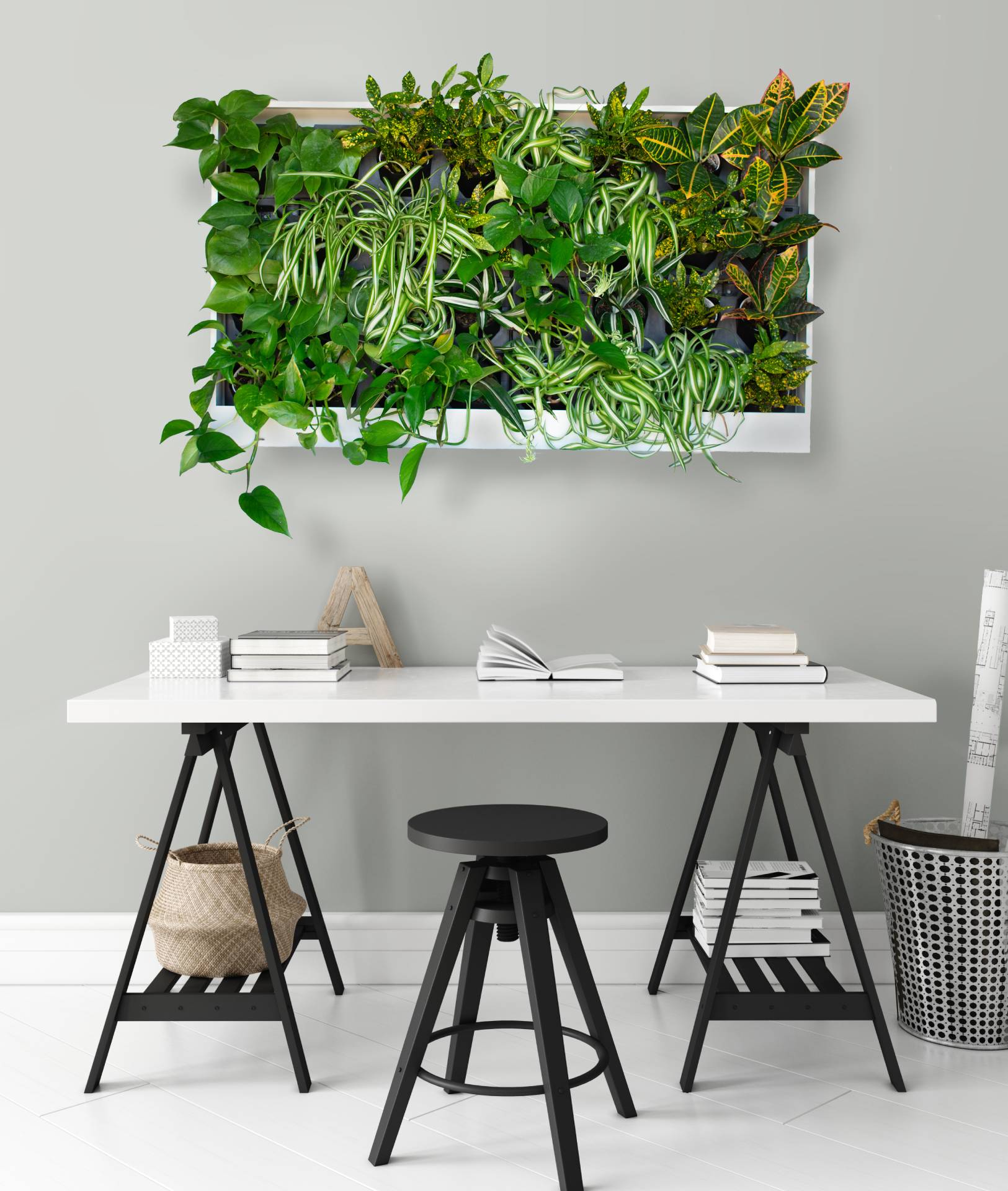 Office space wall mounted Greenwall