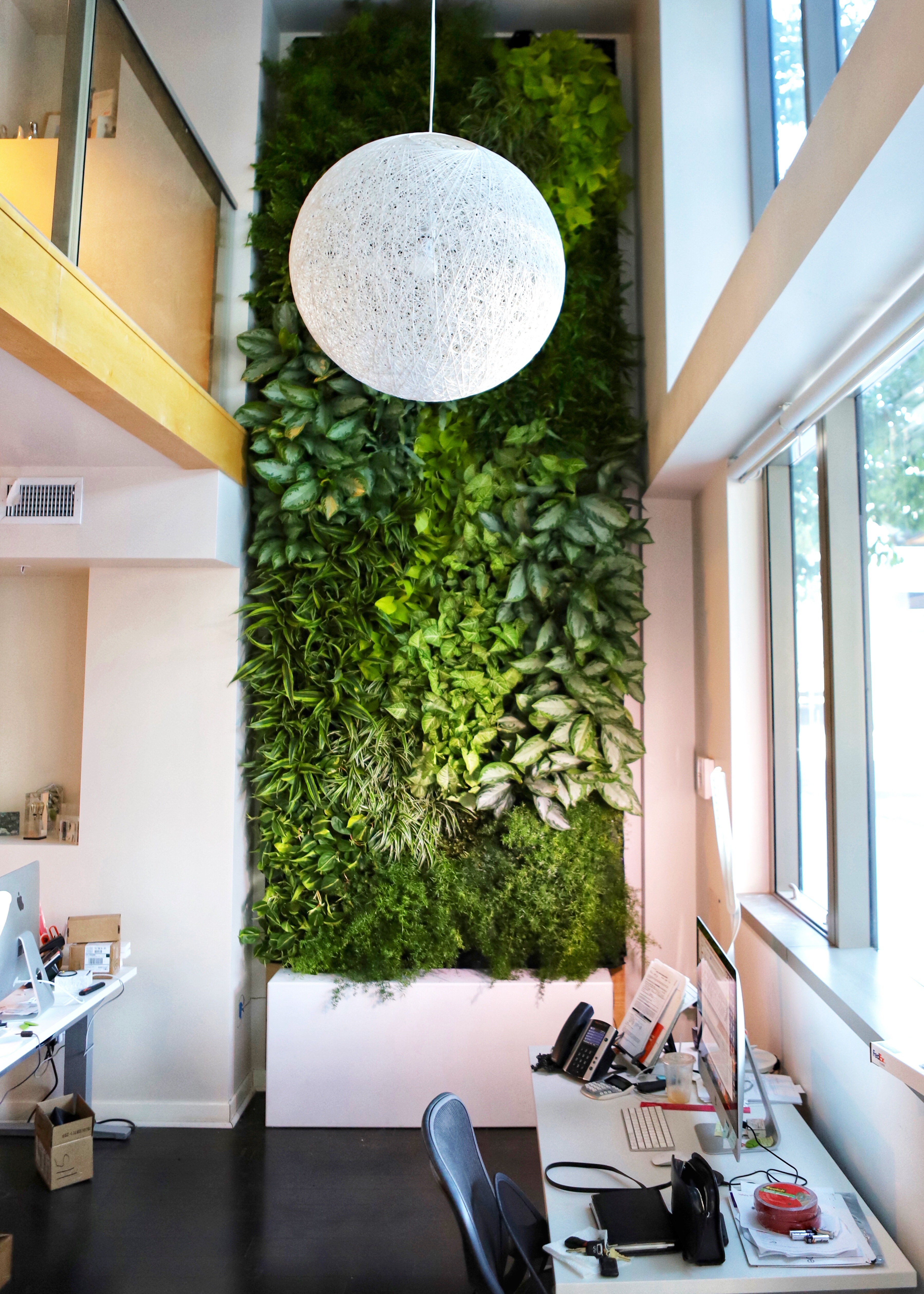 indoor living wall