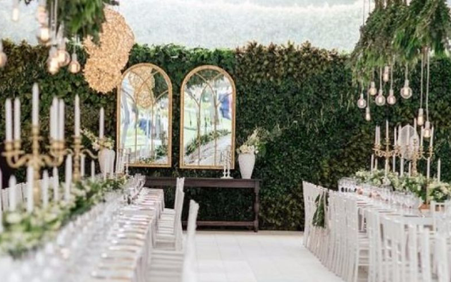 10 FAQs About Greenwalls