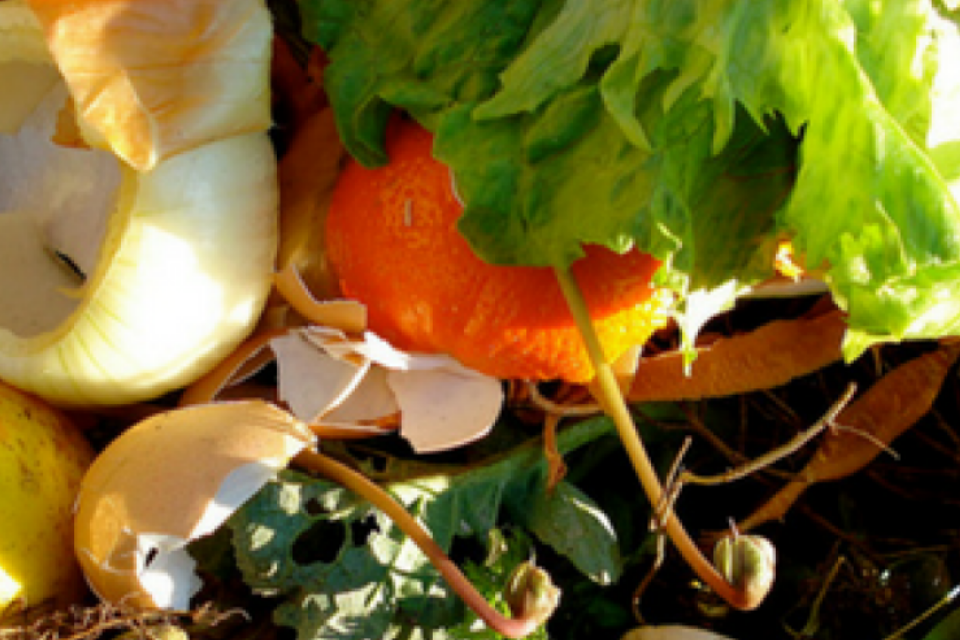 How to Make Your Own Compost [In a Small Space]