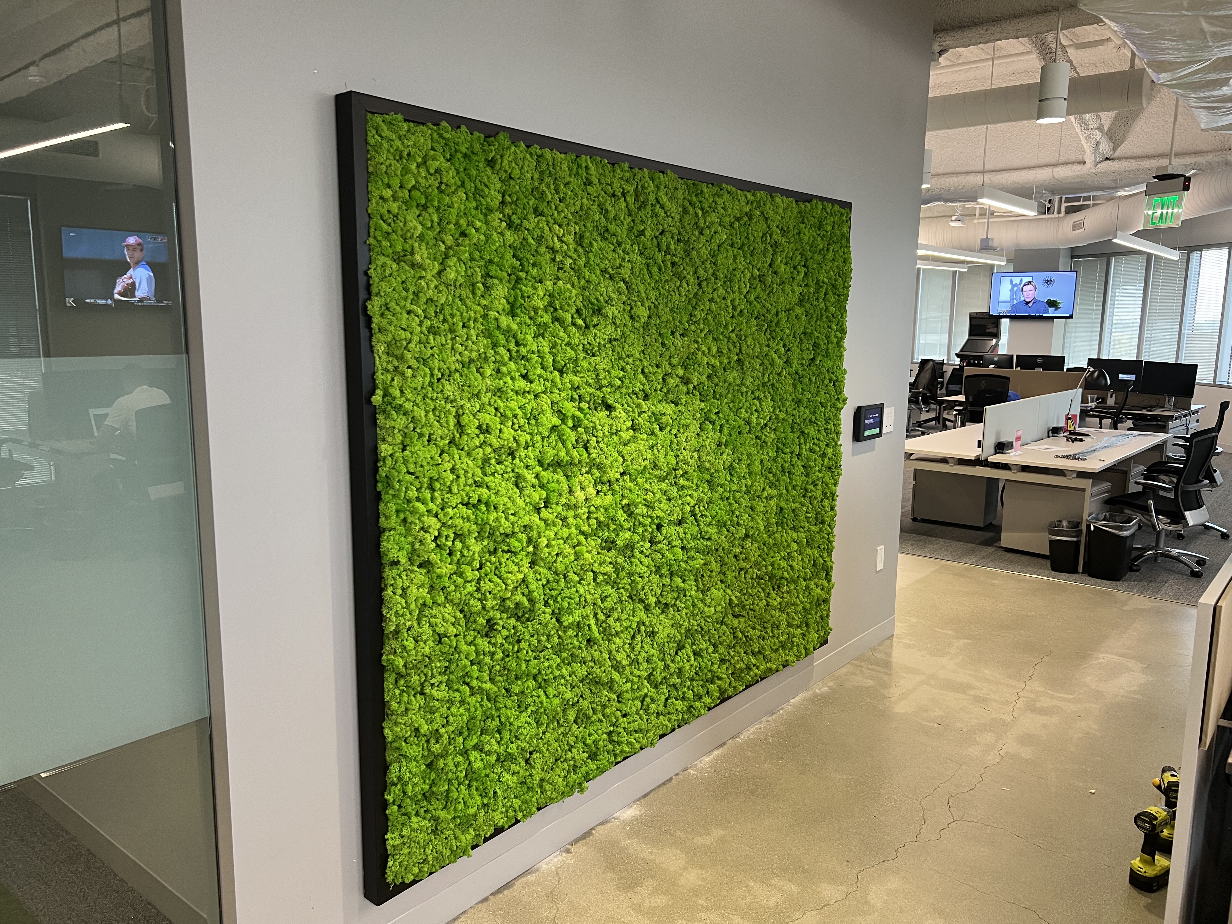 Large simple moss wall in an open office