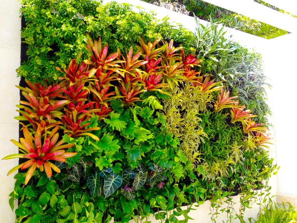 Growup vertical farming | colorful, decorative vertical living wall