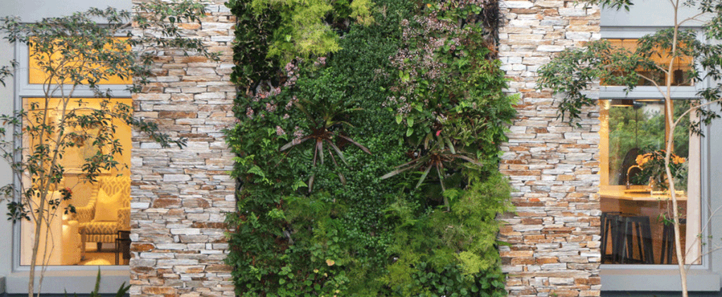 A green wall timeline from start to finish