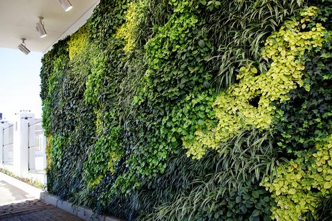 a greenwall as an office entrance 