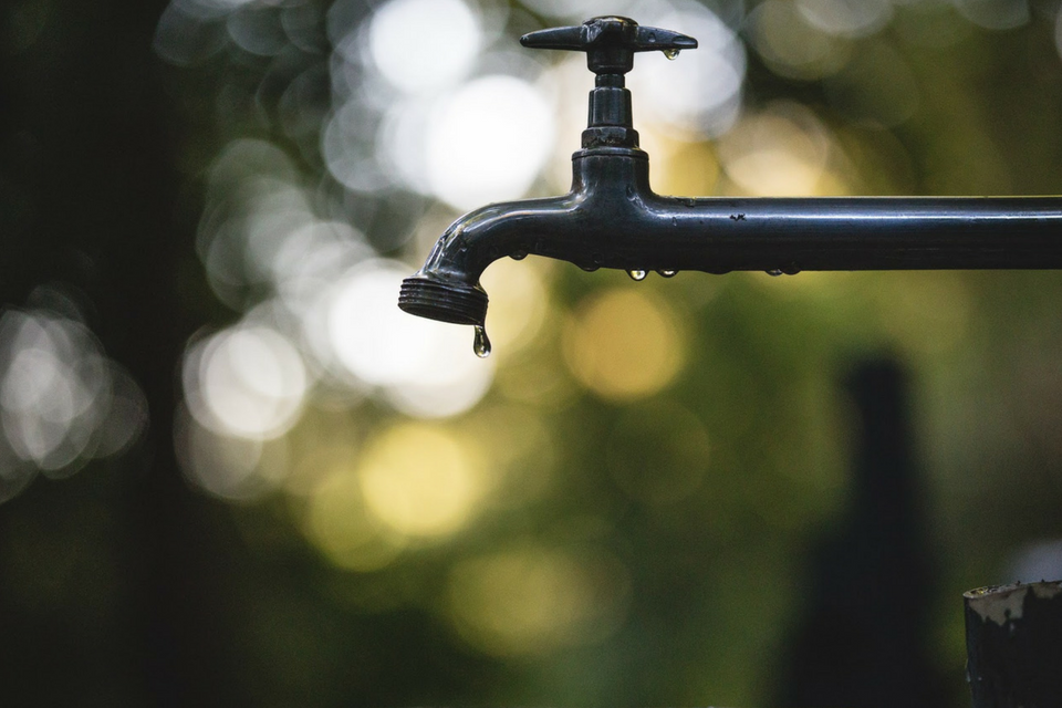 The Sustainability of the GrowUp System