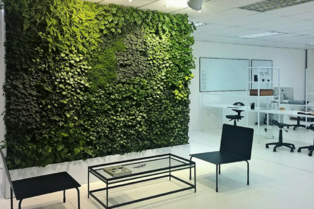 Budget Savvy: A Greenwall For Your Office Redesign [UPDATE]