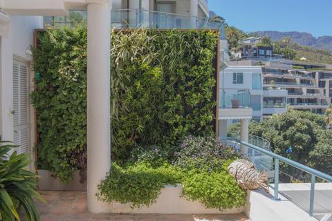 Guide to Picking the Right Plants for Your Decorative Greenwall