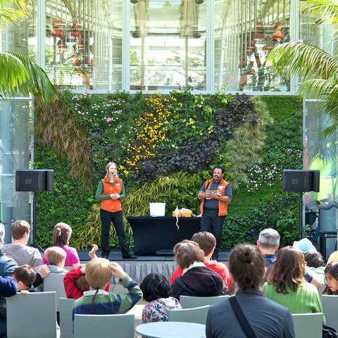 Image source: Habitat Horticulture