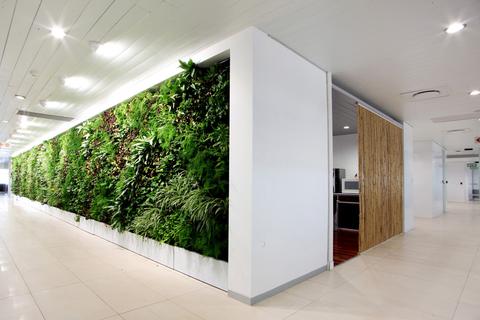 Boost Your LEED Credits with Decorative Greenwalls