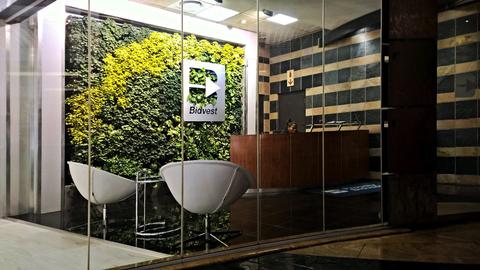Why Proper Lighting is Critical for Indoor Decorative Greenwalls
