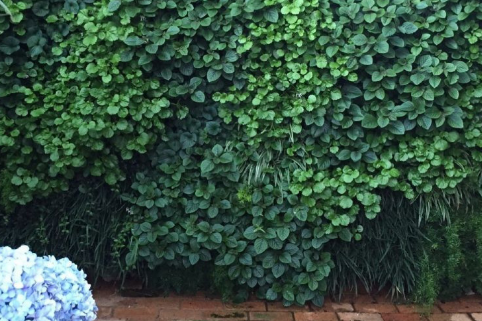 Is Vertical Farming Sustainable?