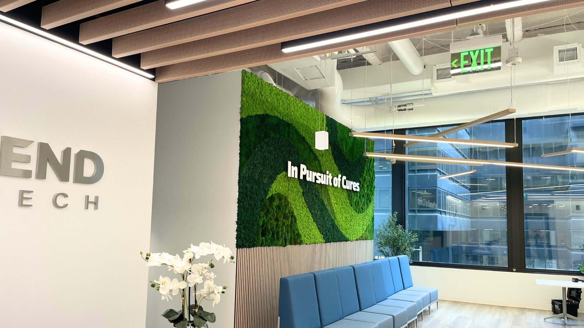 Case Study | A Complete Biophilic Transformation at Legend Biotech HQ