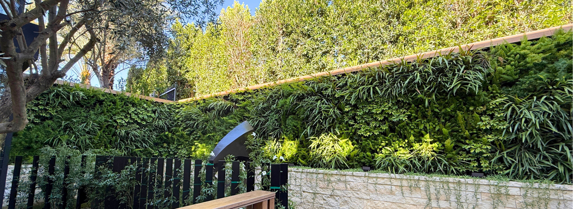 The Complete Guide to Living Walls: Systems, Types and Designs