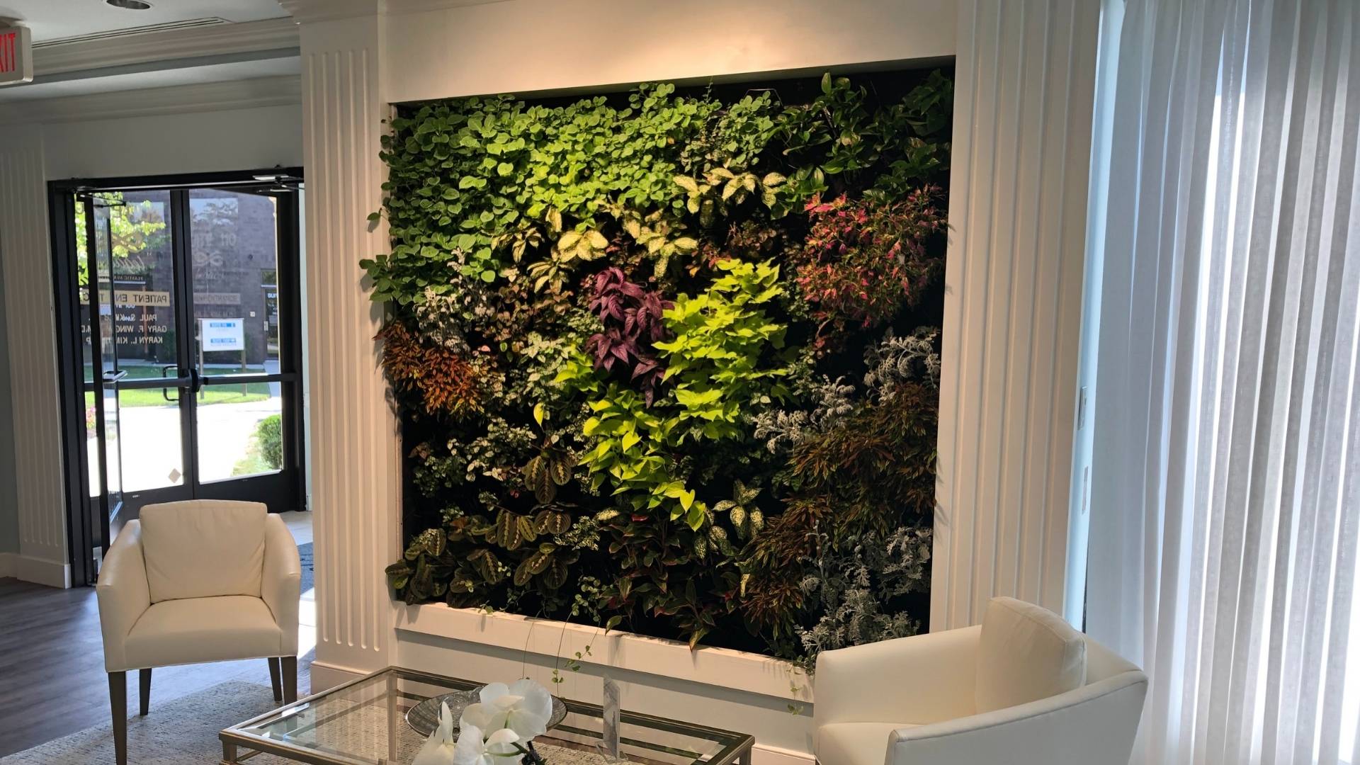 Indoor Greenwall