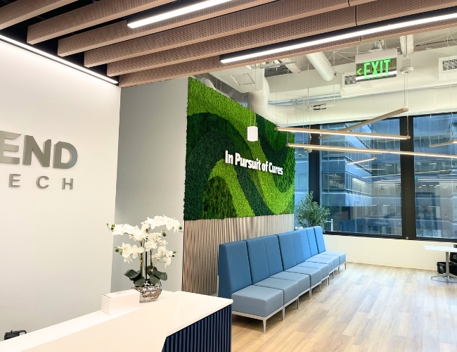 Biophilic Design in an Office: Interior Design Trends for 2026