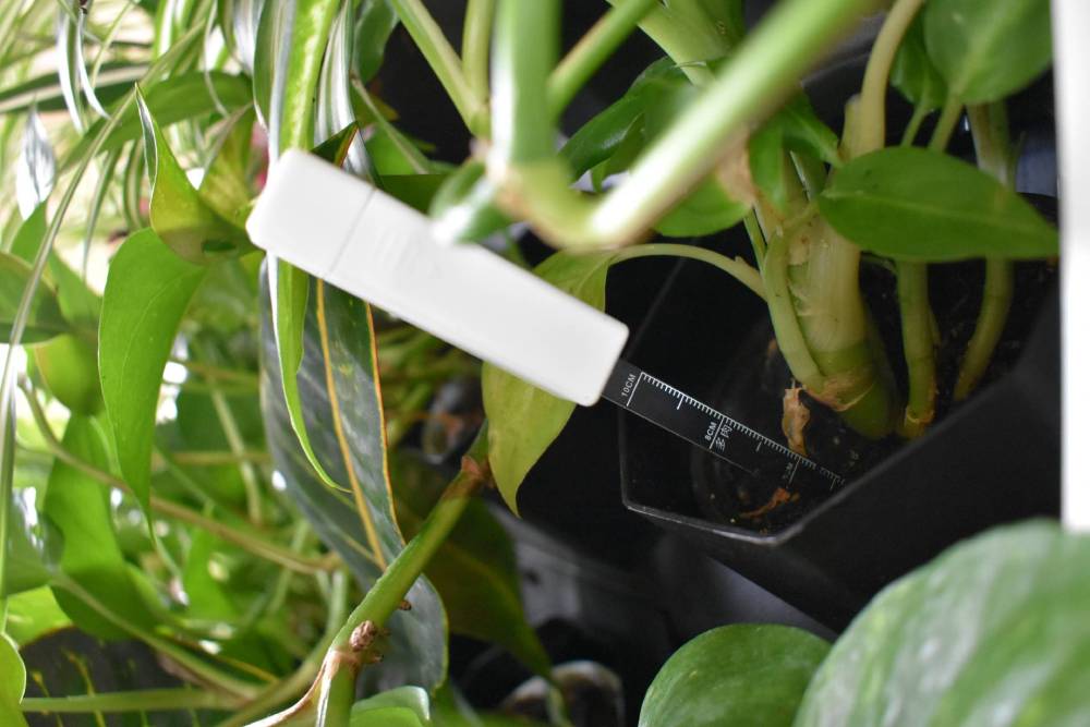 outdoor living wall water measurer