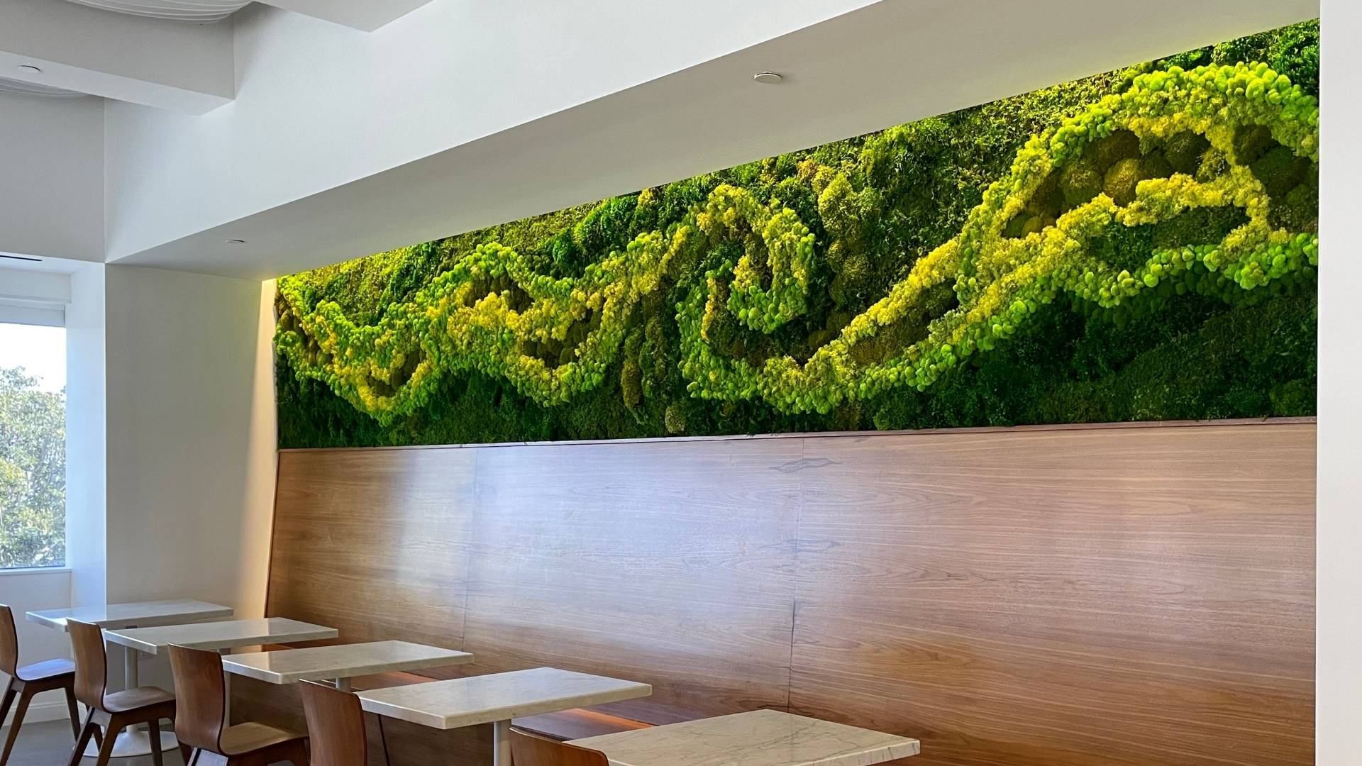 Indoor dining hall moss green wall