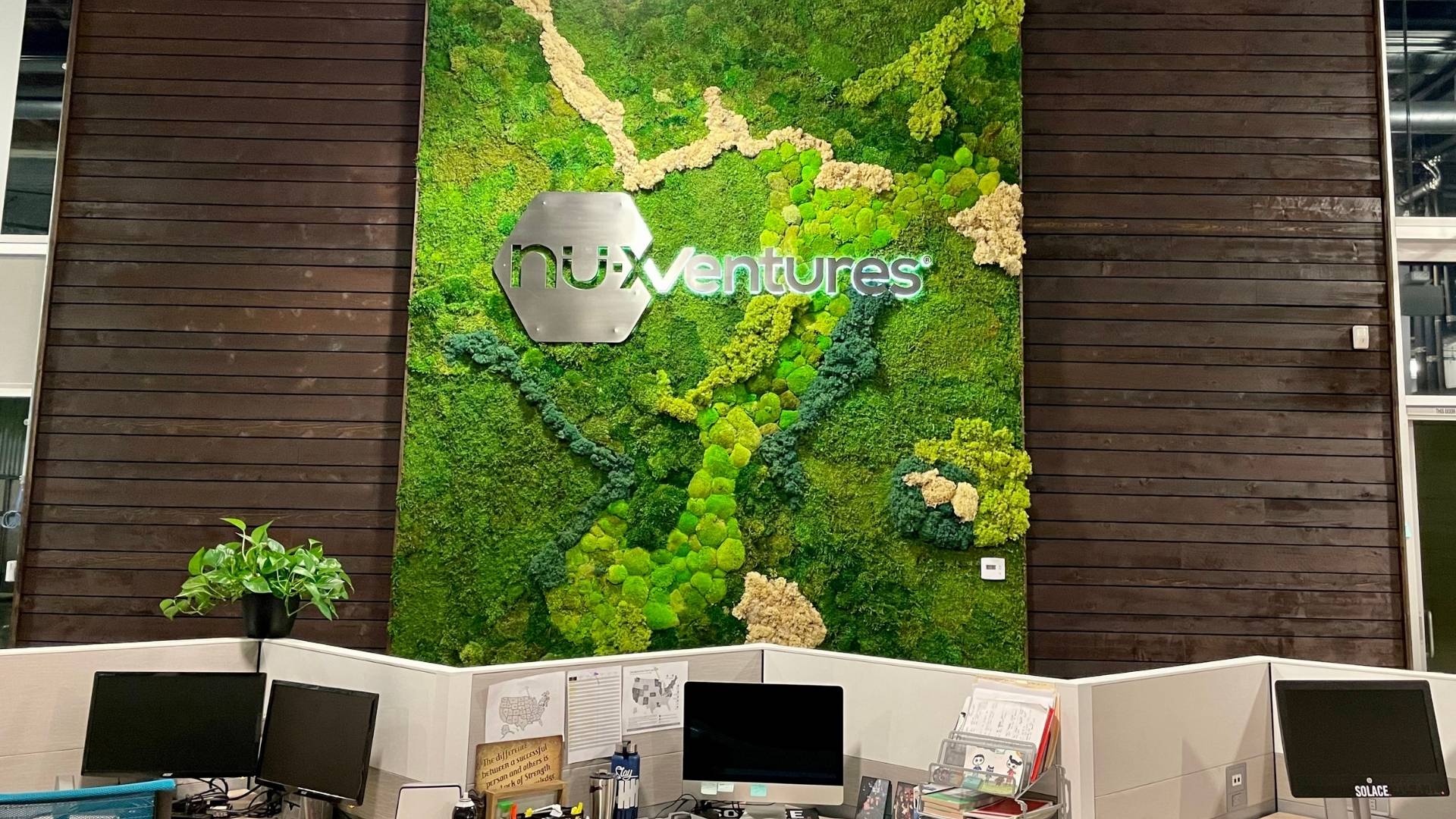 Indoor office large moss green wall