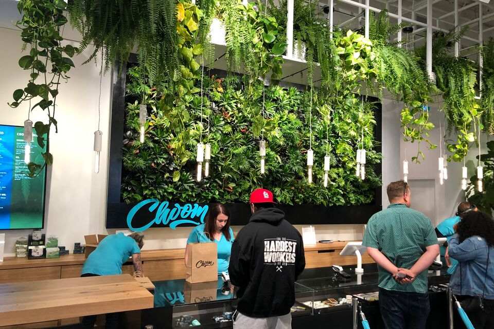 Case Study | GrowUp Greenwall Partner: New Earth Solutions