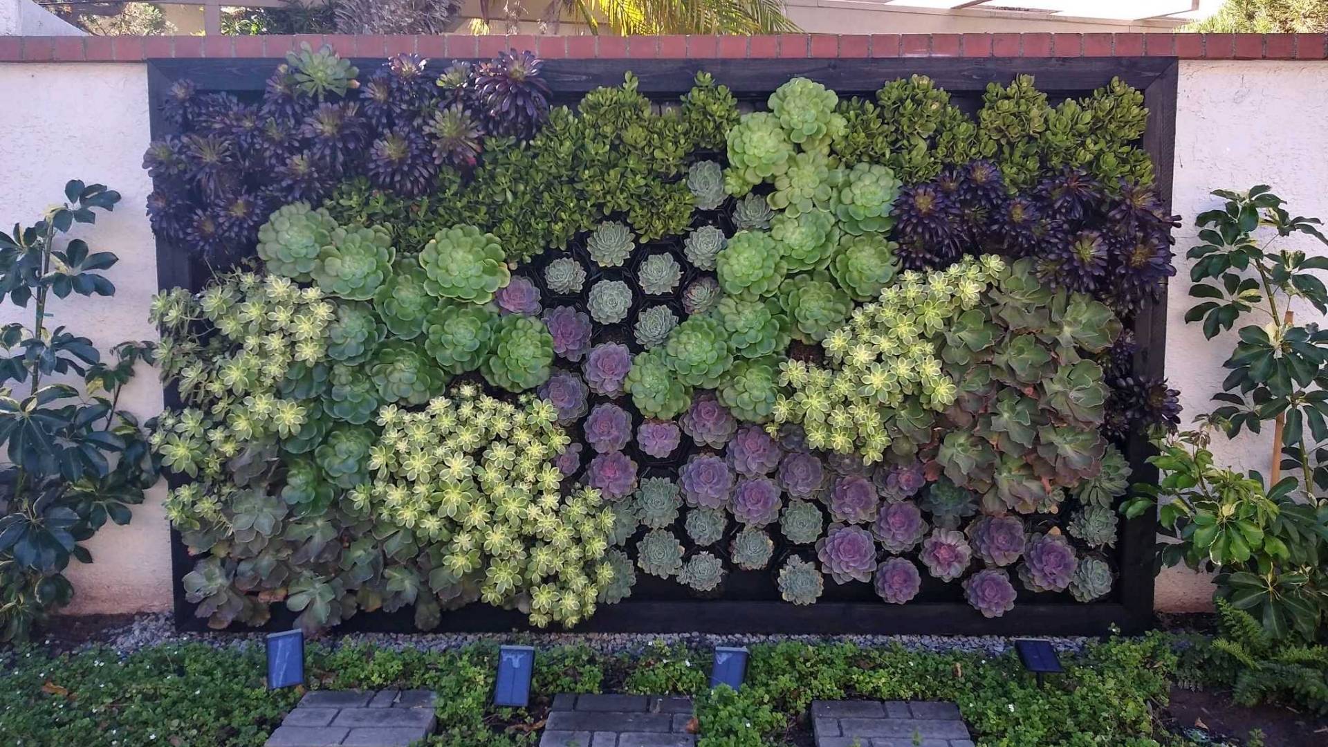 Outdoor Greenwall (2)