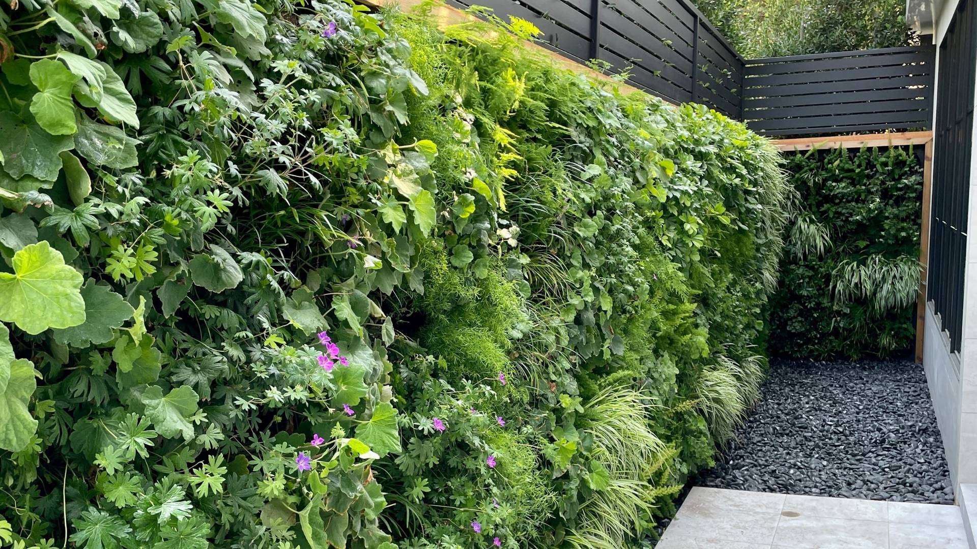 Outdoor Greenwall (4)-compressed
