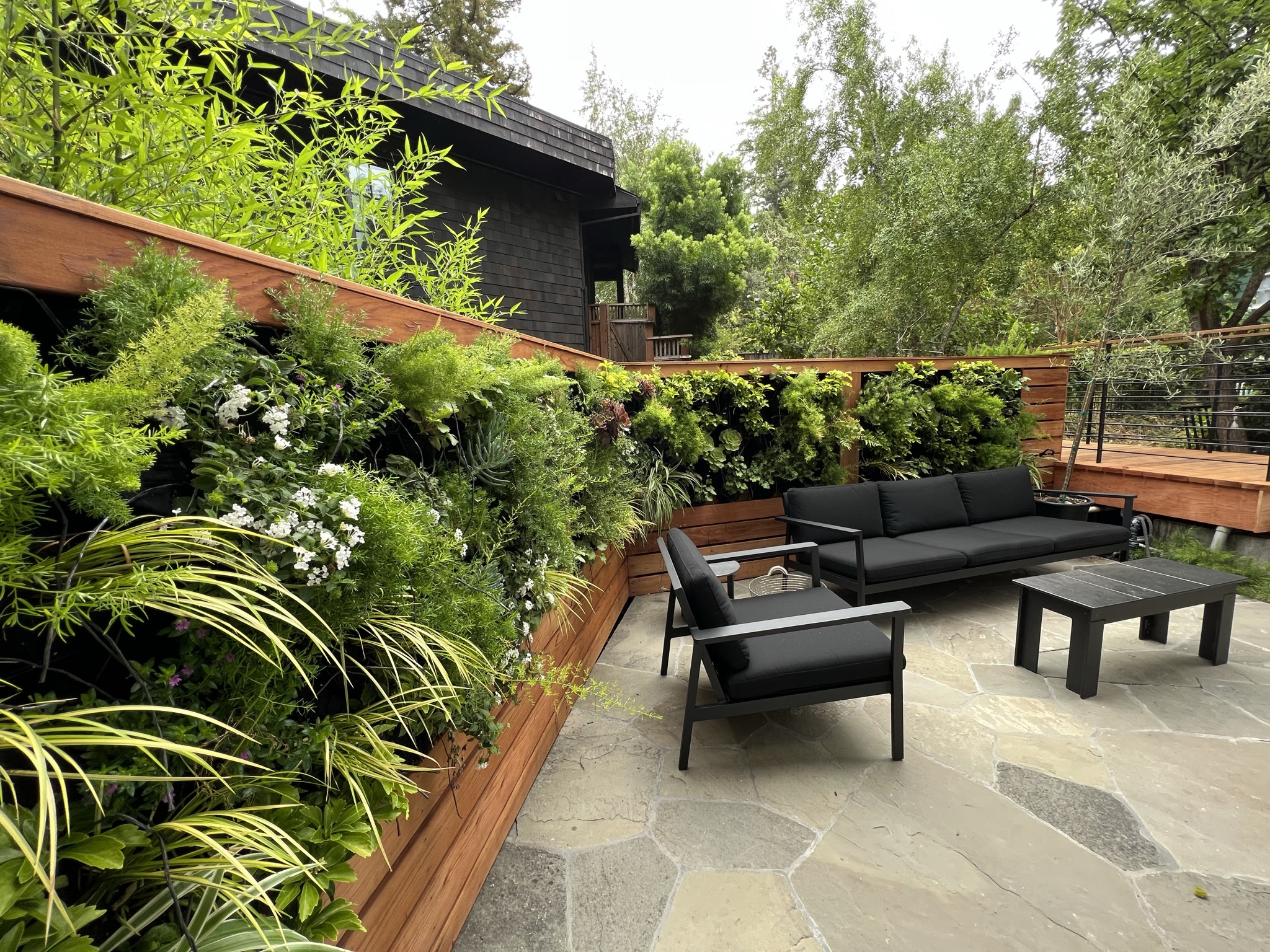 living plant wall in outside living space