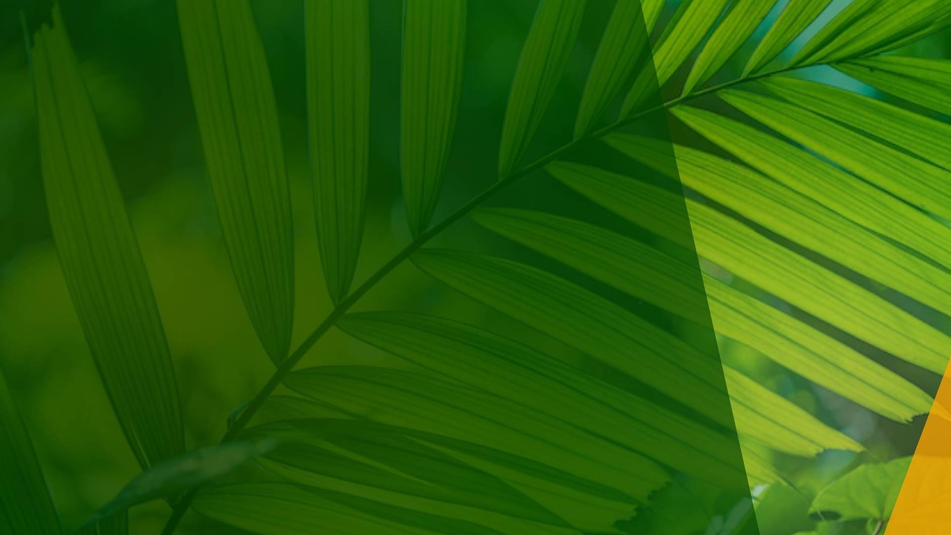 Biophilic Design Assessment Report | January 2026