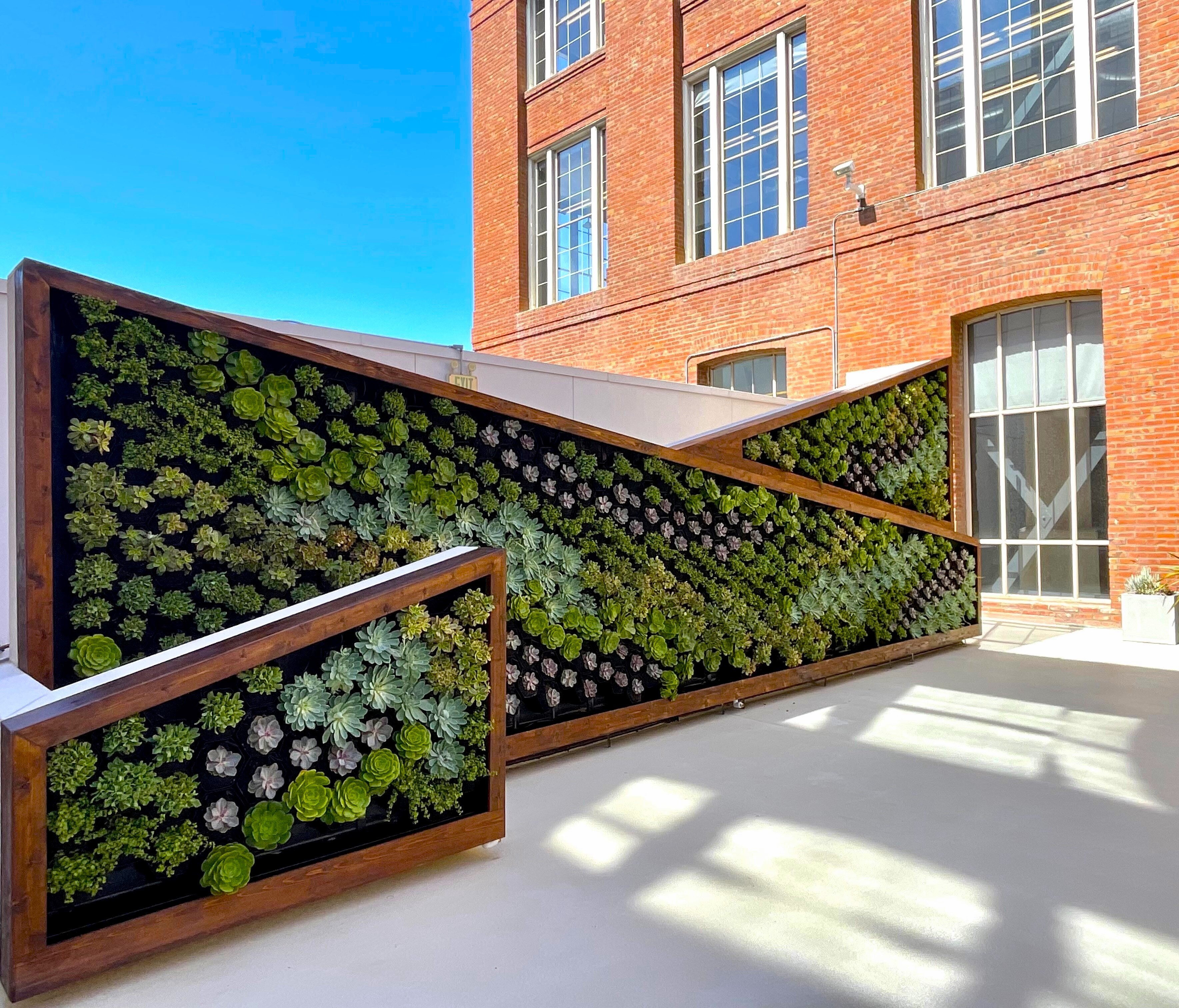 Outdoor succulent wall in creative angled structure