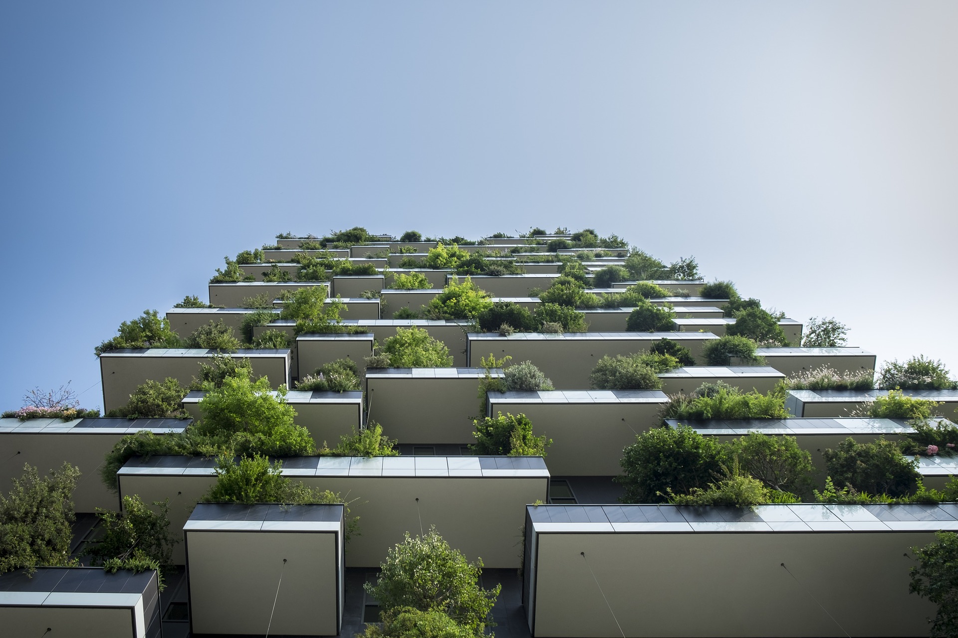 outdoor living apartment building living wall outdoor living apartment building living wall
