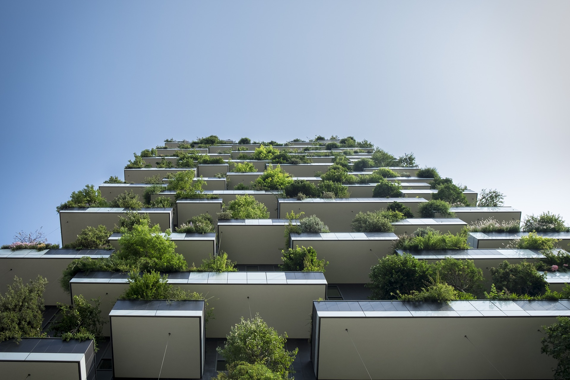 outdoor living apartment building living wall