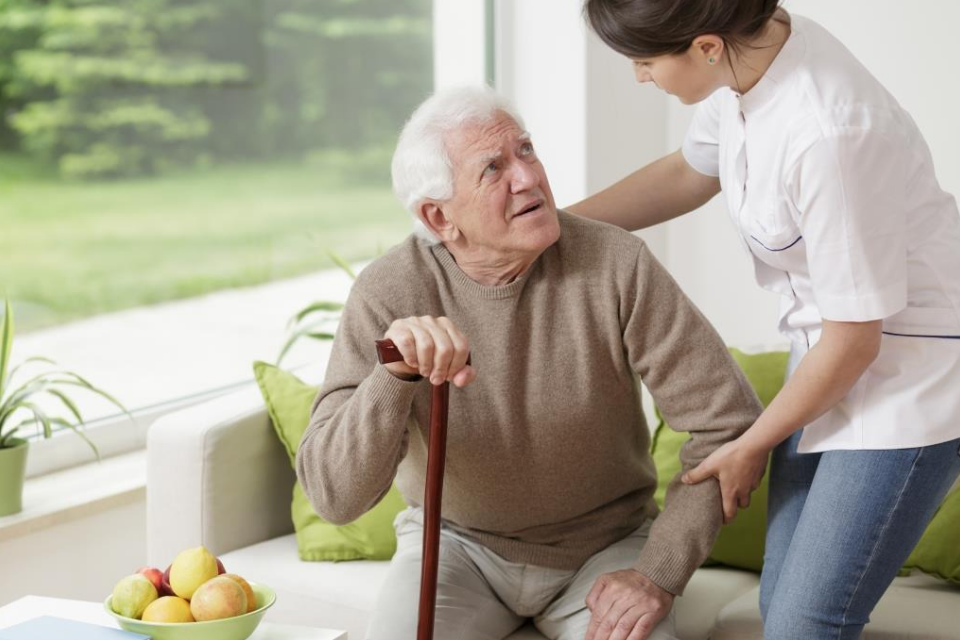 The Benefits of a Greenwall for Assisted Living Residents