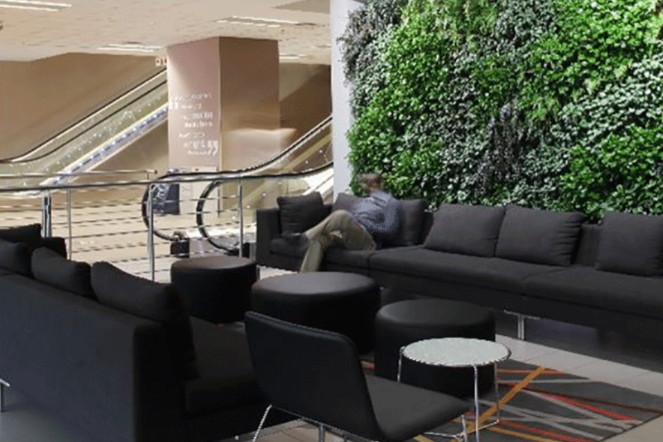 The Importance of Using a Preferred Partner to Install Your Greenwall