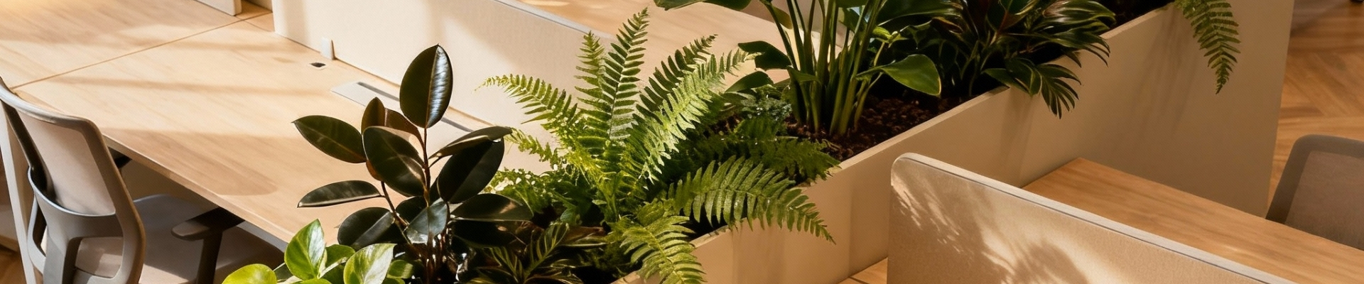 Curated Replica Planter Arrangements