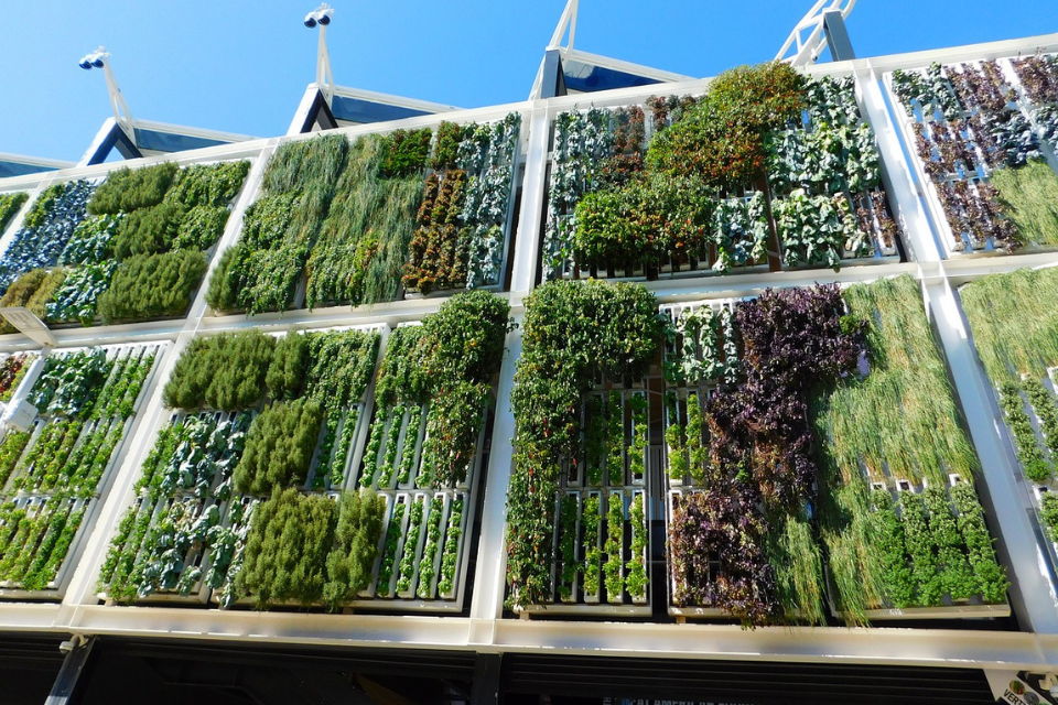 Checklist: Does Your Office Need a Greenwall?