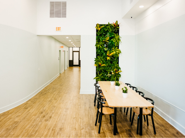 Indoor living and dining space small green wall