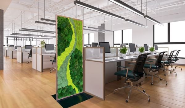 Moss wall divider in an open plan office