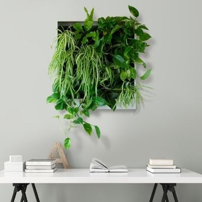 Wall mounted home workspace living wall