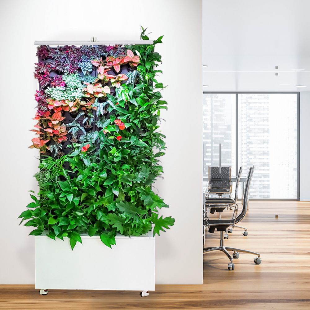 Freestanding living green wall in office