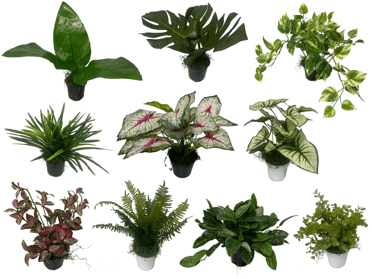 UnReal faux plant choices