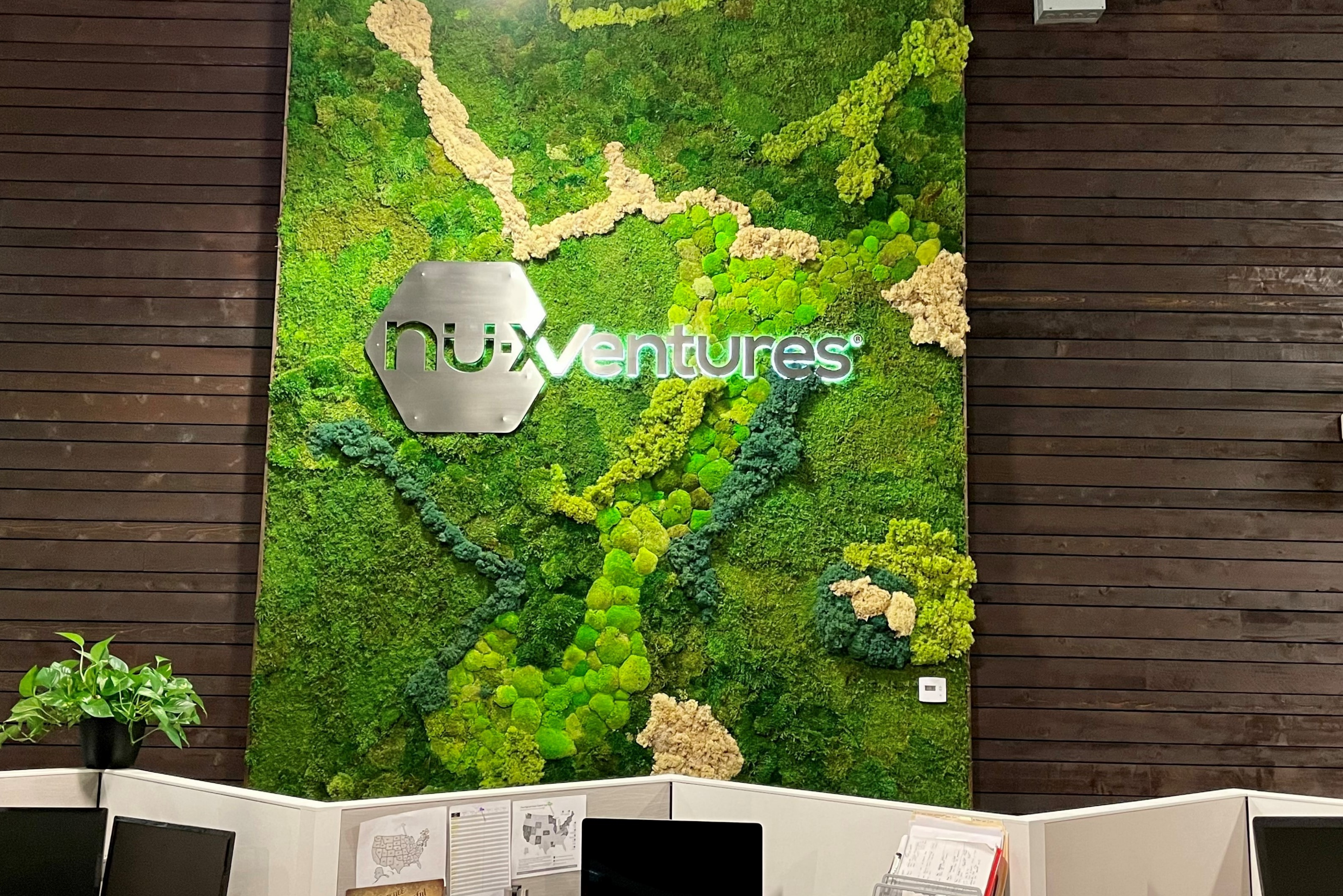 Everything You Need to Know About Moss Walls