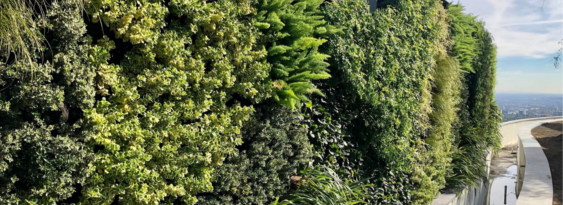 LA Luxury Green Walls: Award-Winning Designs Redefining Modern Homes