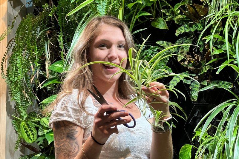 Woman standing infront of a living greenwall holding a plant cutting