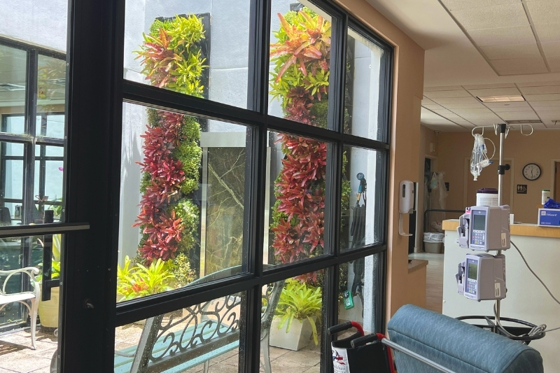 two tall narrow outdoor living greenwalls in a courtyard at a hospital.