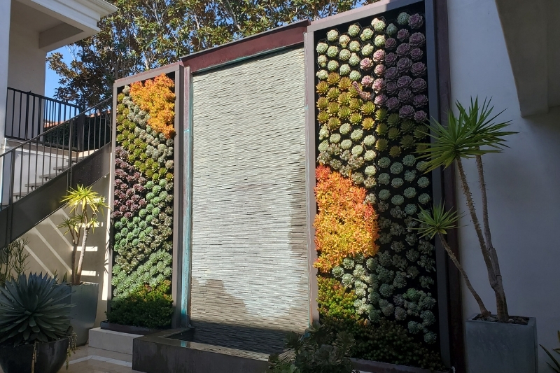 Two succulent walls with brightly colors succulent plants