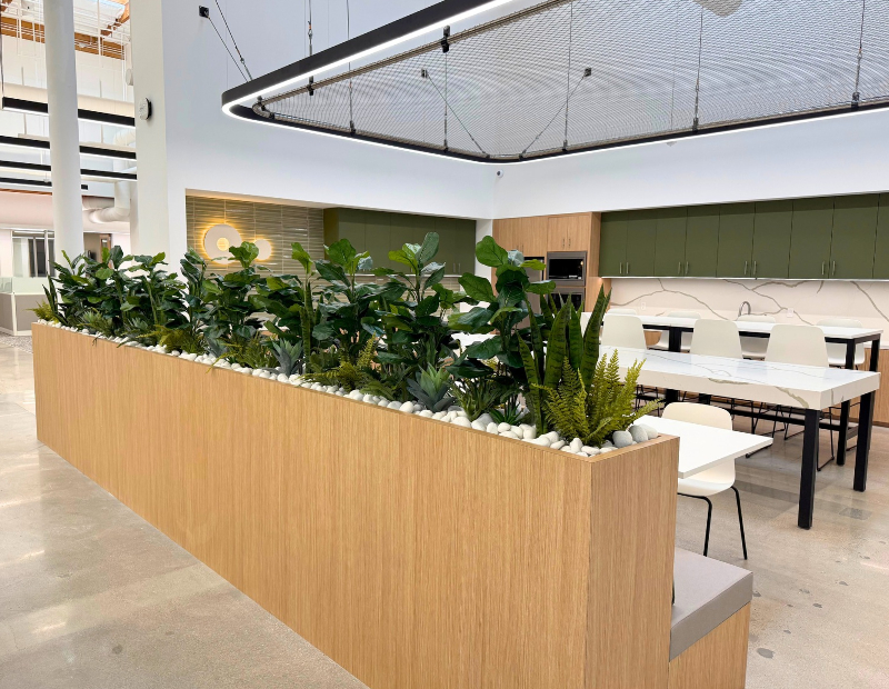 Curated replica planter arrangements dividing an open-plan office