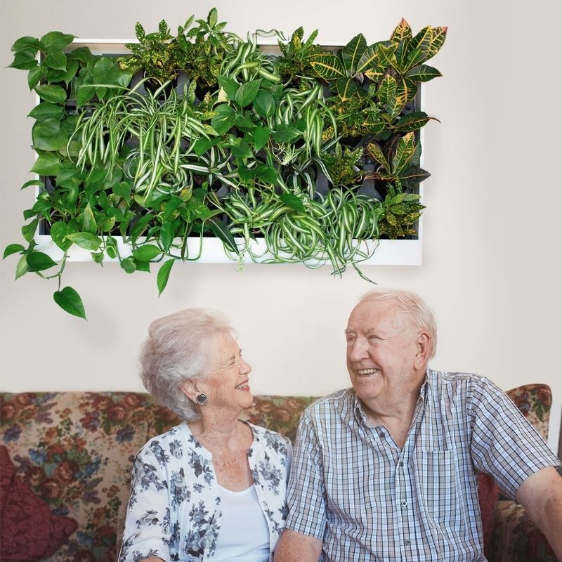 Assisted living facility with pre-built greenwall unit