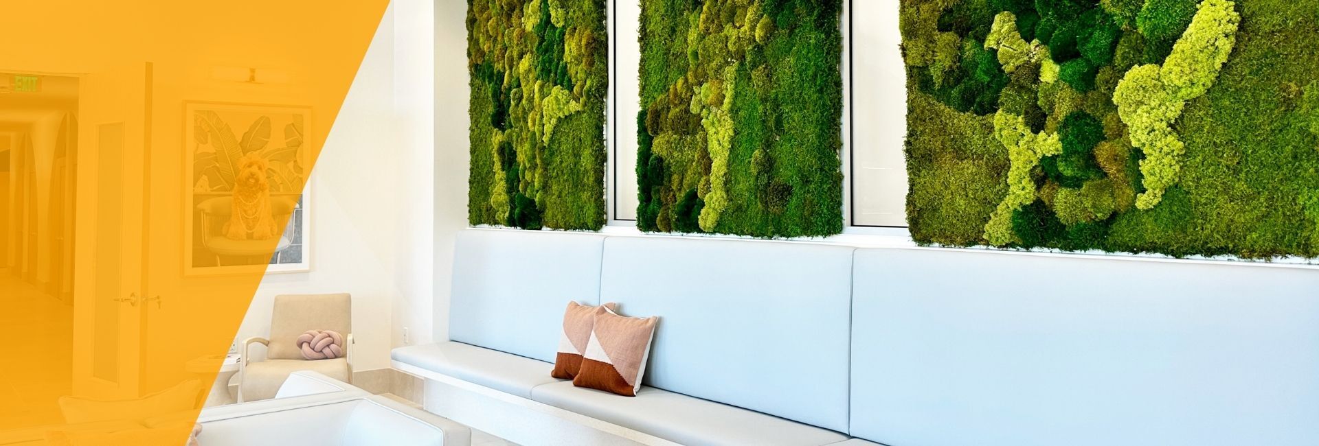 Moss Walls in a living room background illustration