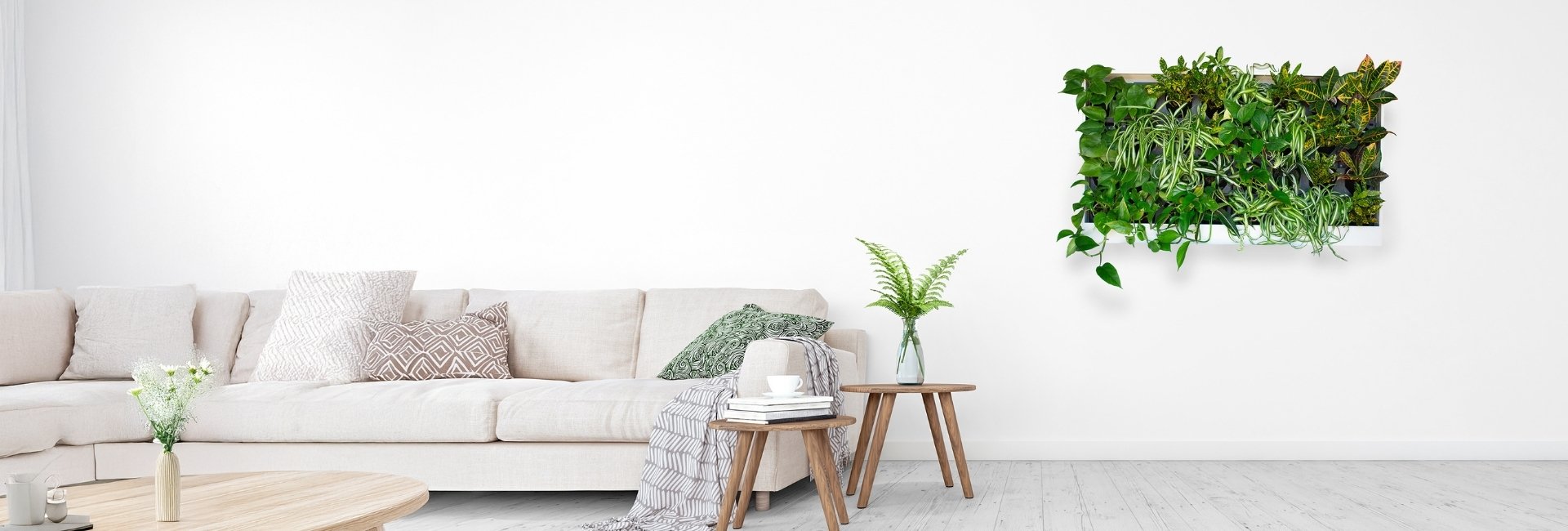 White living room with small pre-built living greenwall